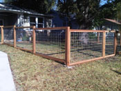 Fence of Cedar and hog wire